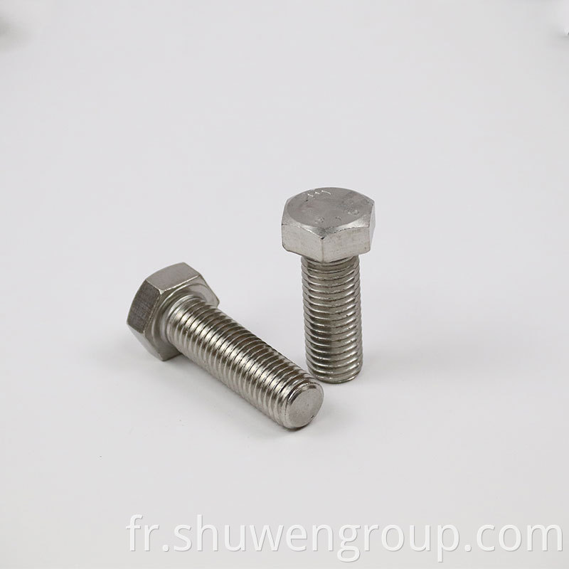 Stainless Steel Hex Bolt 8 6